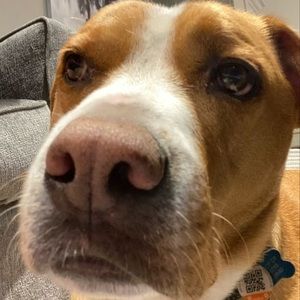 Meet your Posher, Jeff